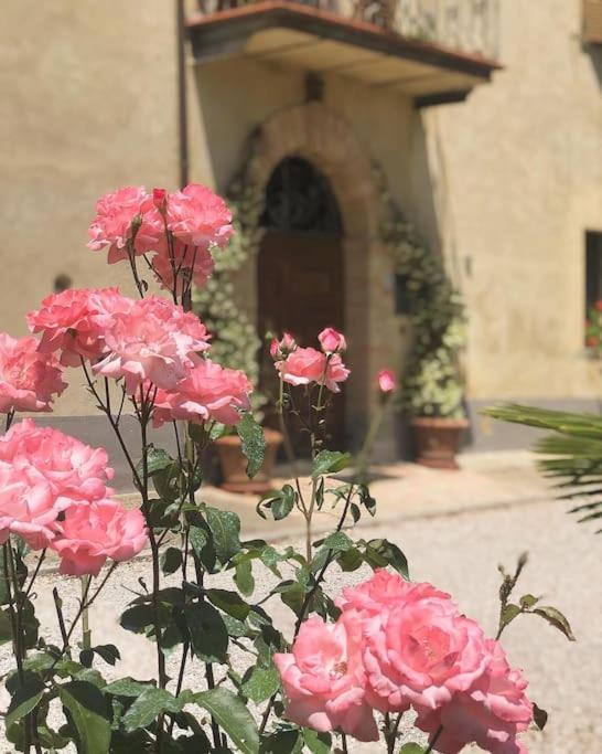 "Villa Bizzi" Monte Castelli Εξωτερικό φωτογραφία