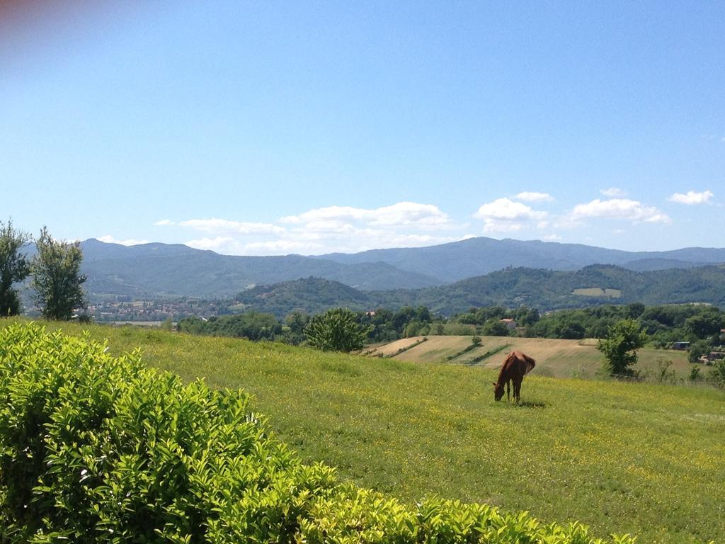 "Villa Bizzi" Monte Castelli Εξωτερικό φωτογραφία