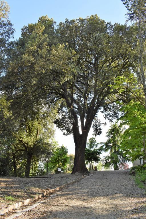 "Villa Bizzi" Monte Castelli Εξωτερικό φωτογραφία